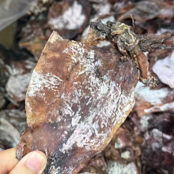 SOTONG KERING HITAM (KG) - Image 3